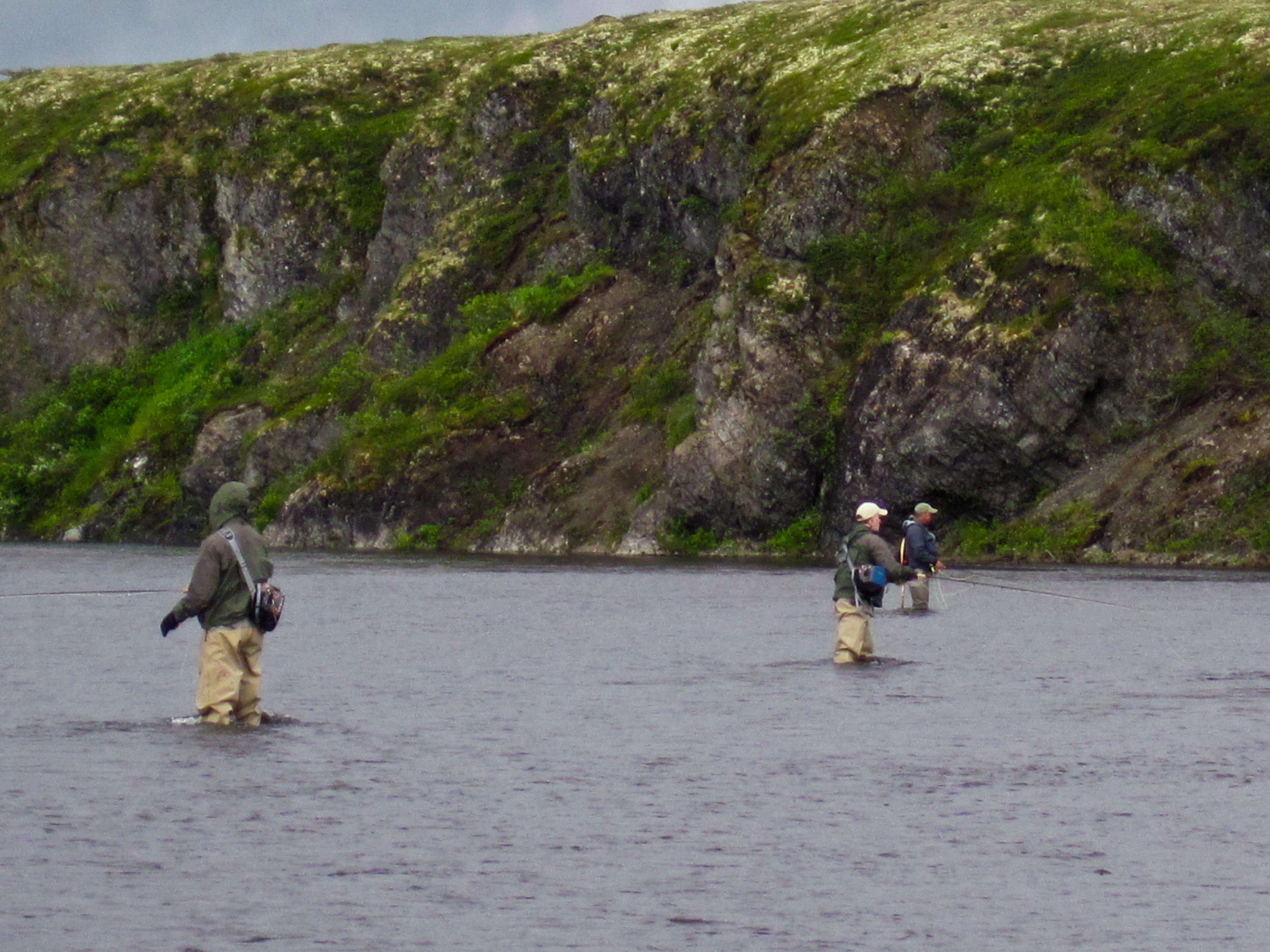 Middle Fork of the Goodnews River Wild River Fish