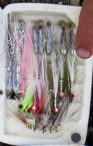 Smolt-&-Flies