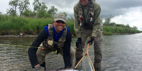 Hammers w 5wt Sockeye