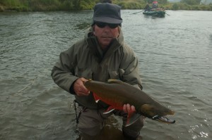 Large late season char