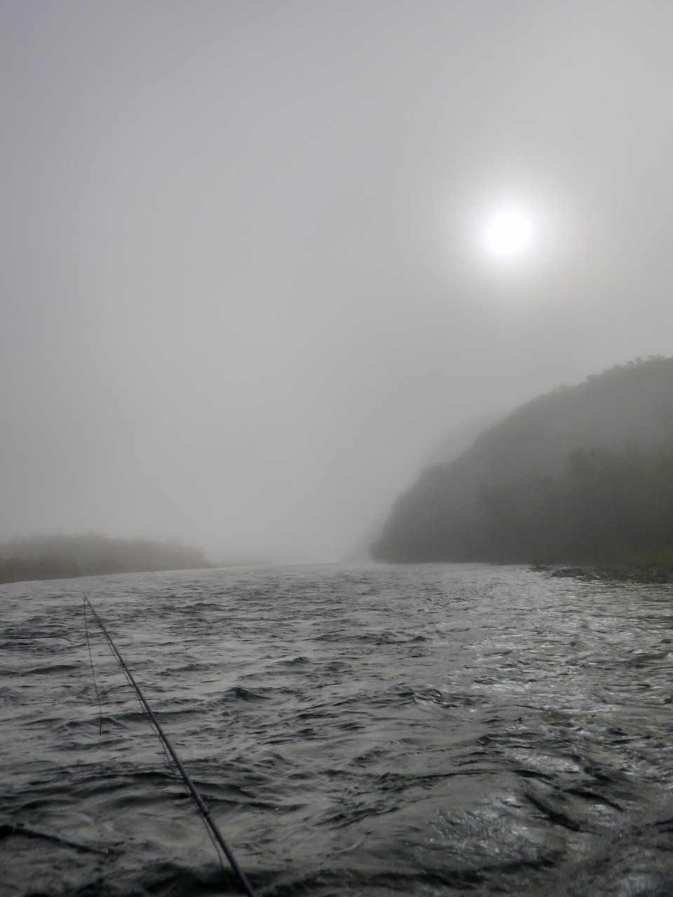 1-fly-rod-absolute-fog-copy