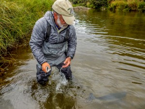 michael-release-coho-look-down