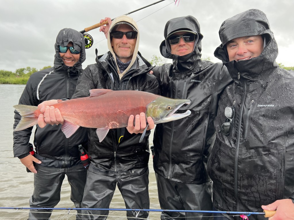 Group Sockeye