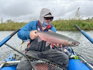 Blushed Up Coho